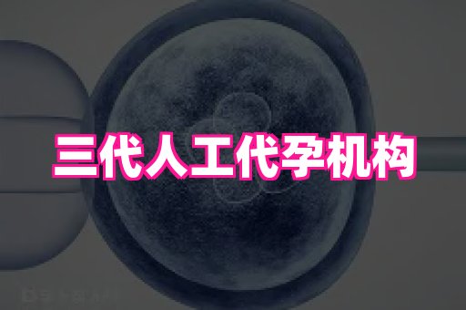 69助孕网 1