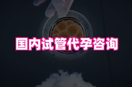 69助孕网 2