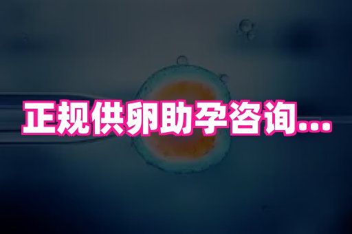 69助孕网 3